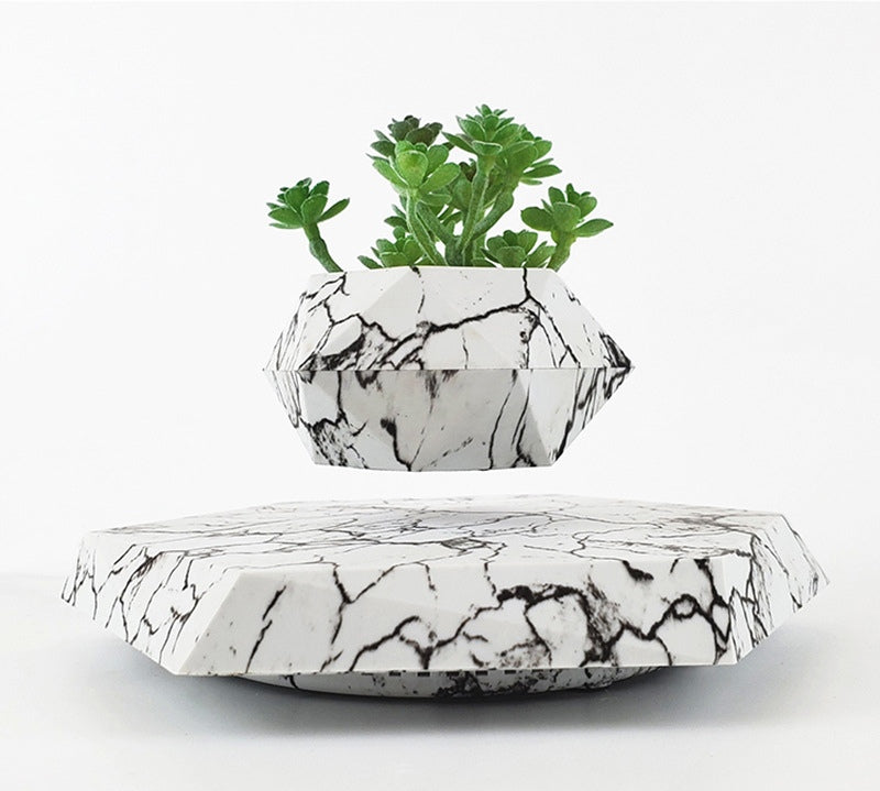 Floating Plant Pot for Bonsai