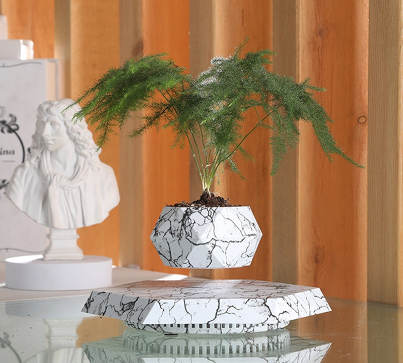 Floating Plant Pot for Bonsai